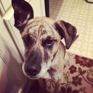 Meet your Posher, Mary kay